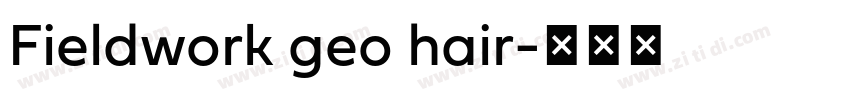 Fieldwork geo hair字体转换